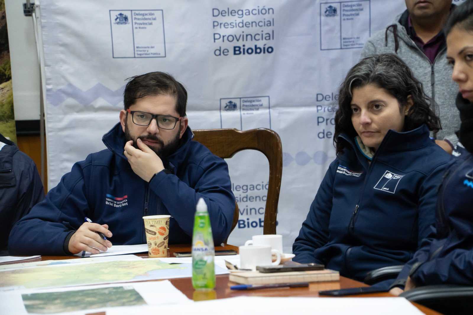 delegacion-presidencial-biobio