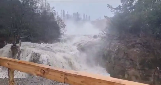 Opera Captura de pantalla_2023-08-20_145326_twittercom