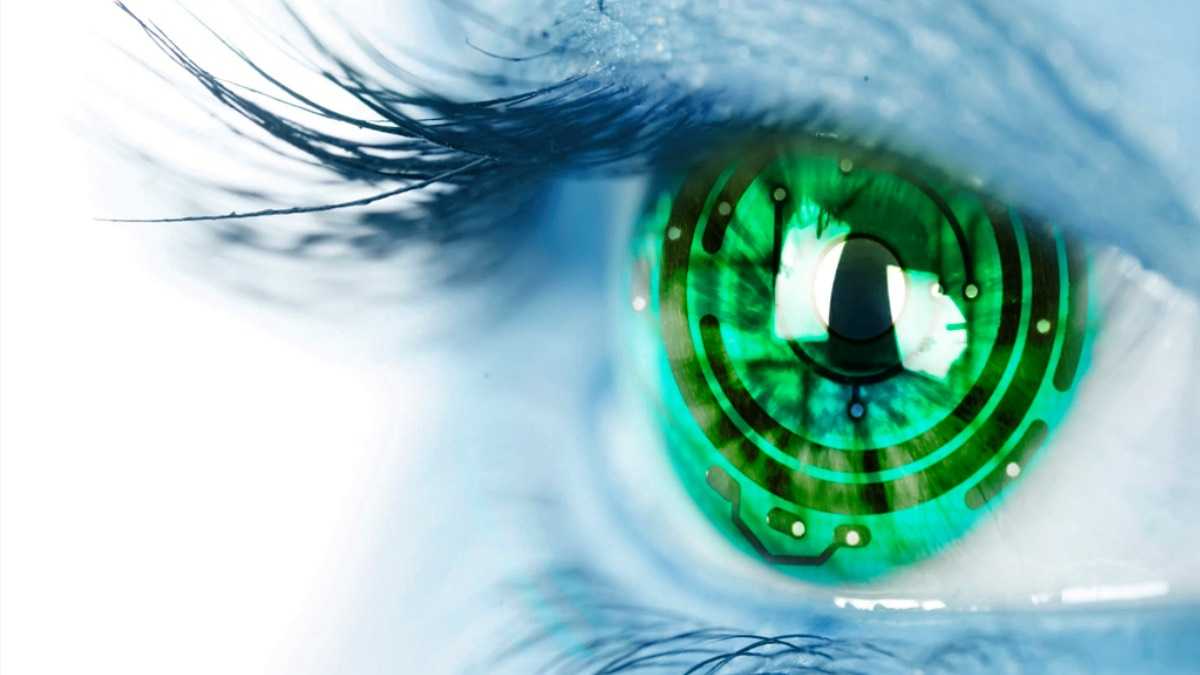 archivo infogate web-5-2-12