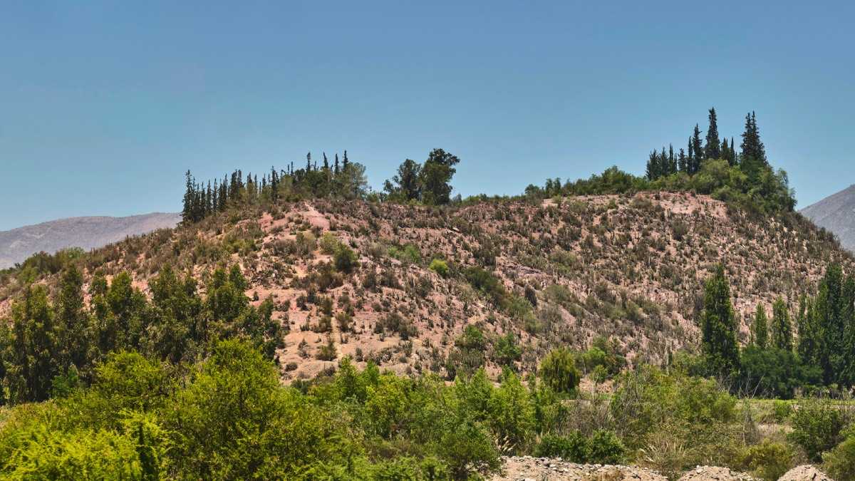 archivo infogate web-5-2-18