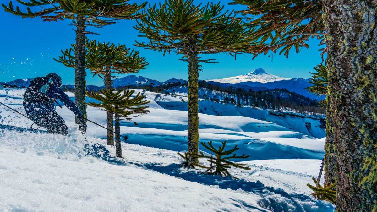 archivo infogate web-5-2-20