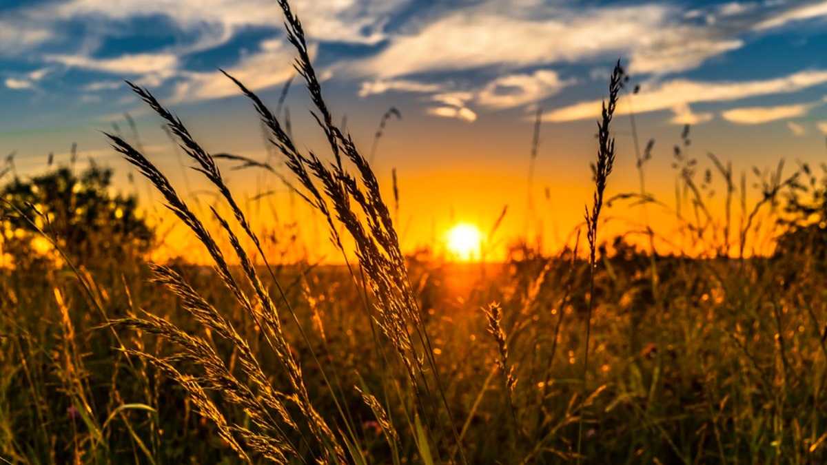 archivo infogate web-5-2-3