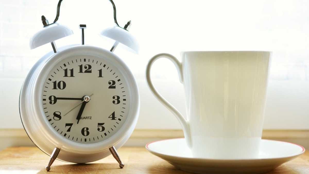 archivo infogate web-5-2-34-18