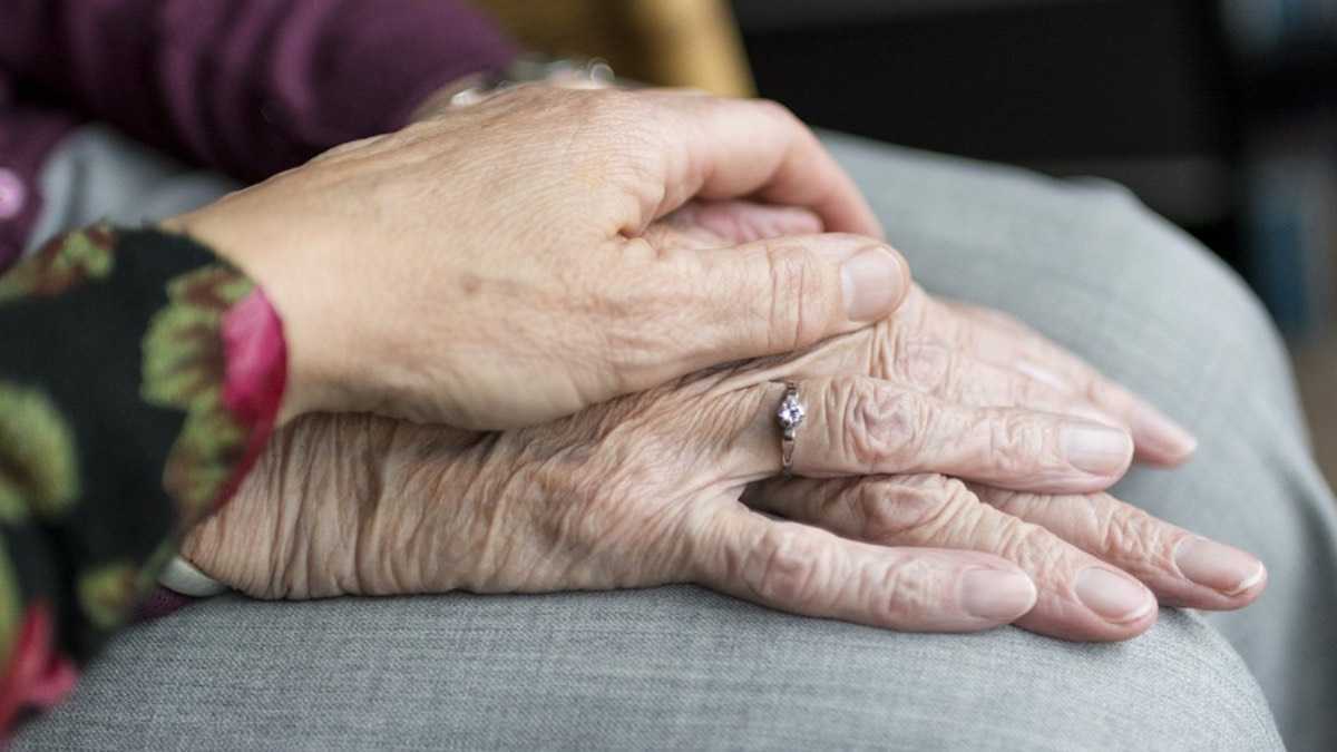 archivo infogate web-5-2-34-36