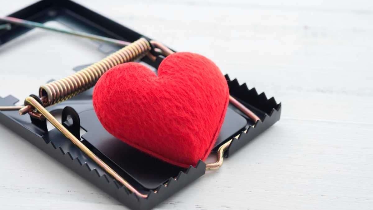 archivo infogate web-5-2-8