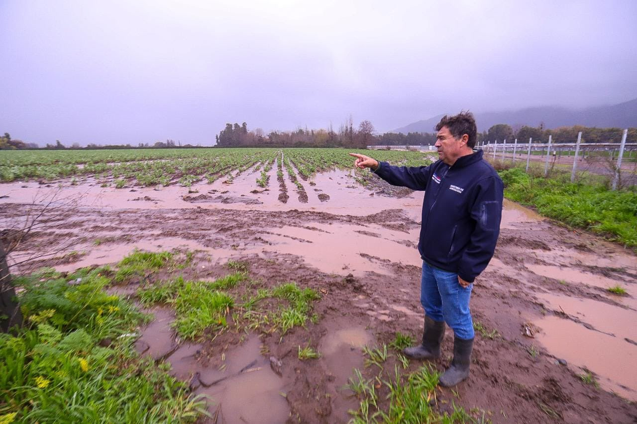 imagen_2023-08-23_102002489