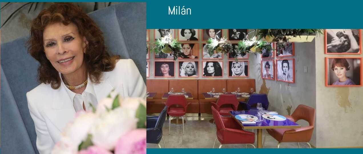 RESTAURANTSHPIALOREMconsl