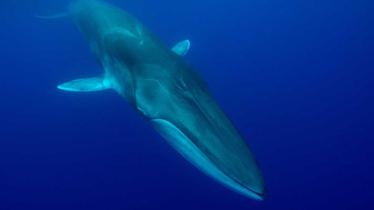 archivo infogate web-5-2-34-14