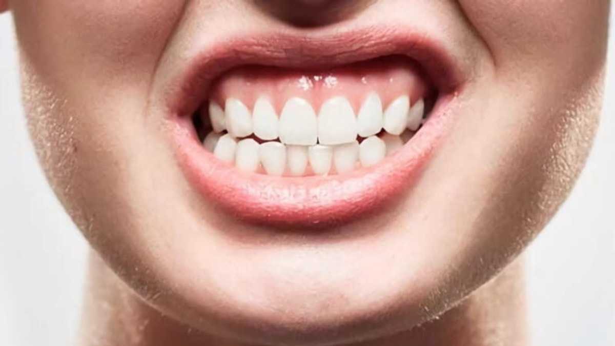 archivo infogate web-5-2-34-20