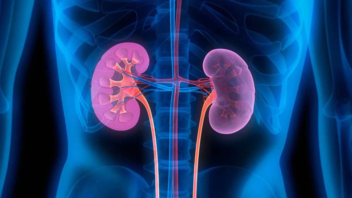 archivo infogate web-5-2-34-40