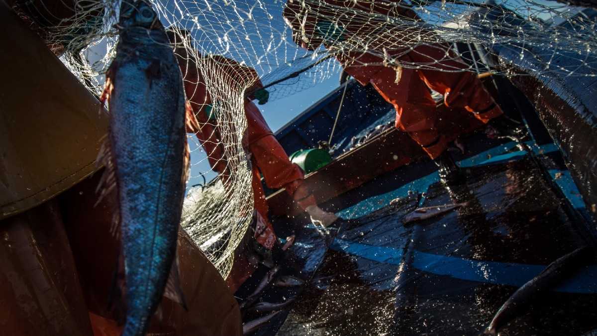 archivo infogate web-5-2-34-5