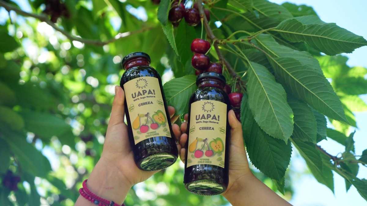 archivo infogate web-5-2-34-7