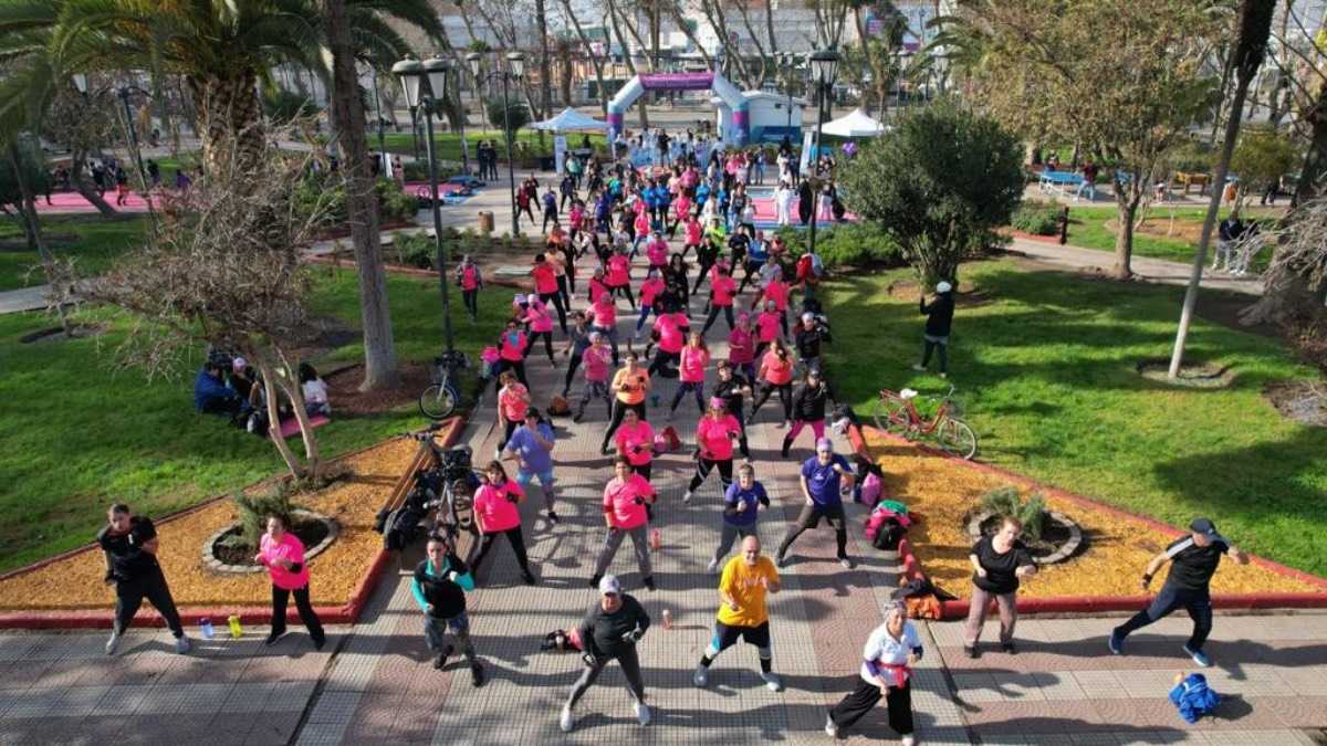 archivo infogate web-5-2-13-11