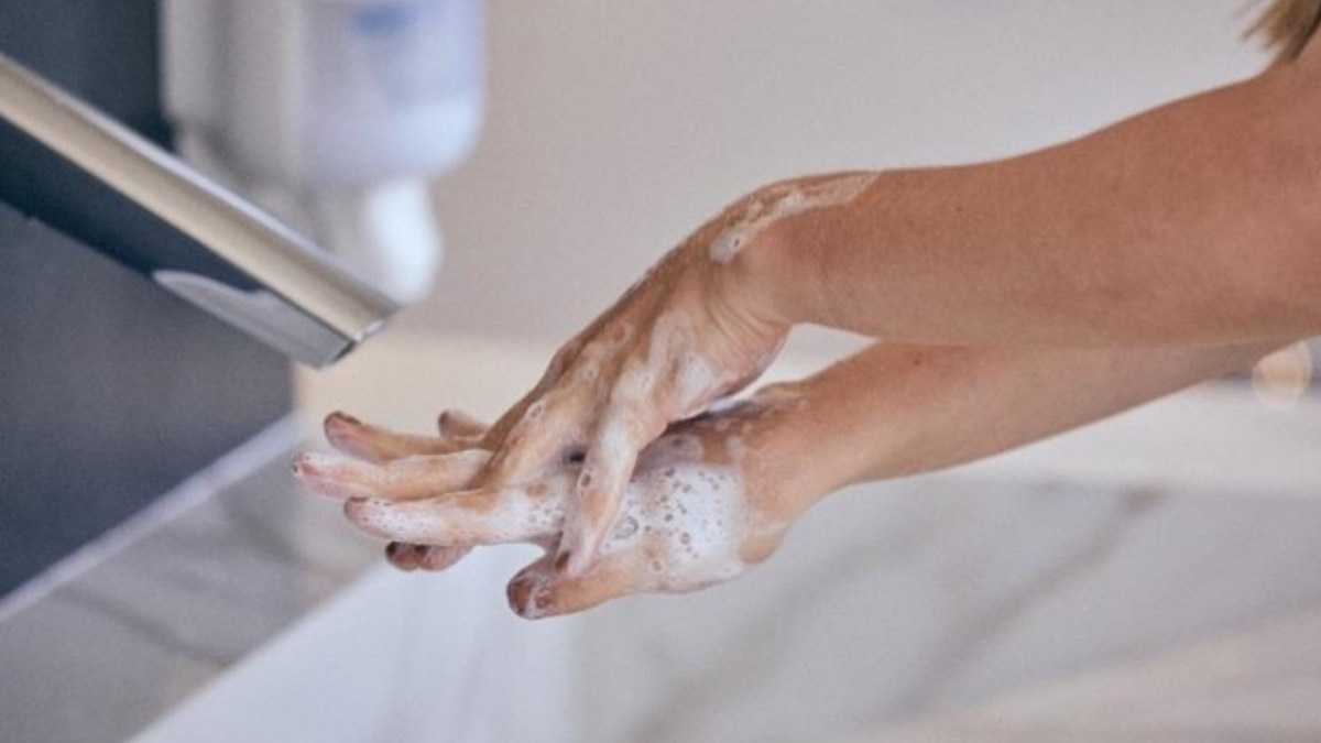 archivo infogate web-5-2-13-11