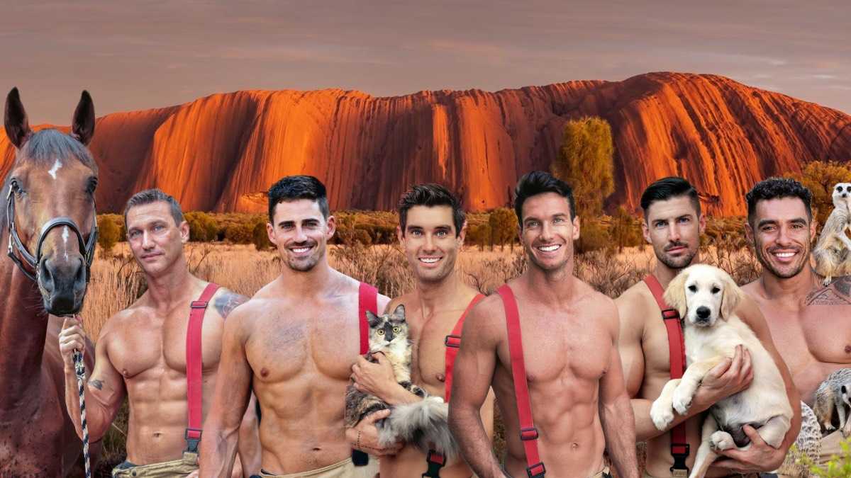 archivo infogate web-5-2-13-23