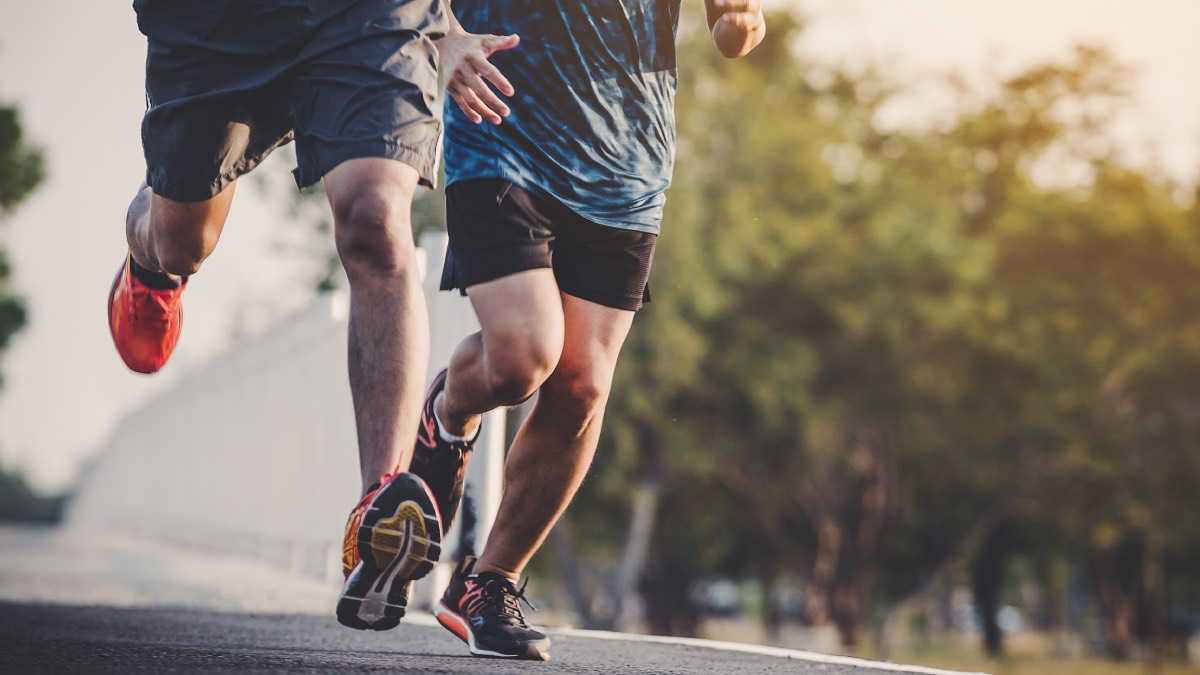 archivo infogate web-5-2-13-3