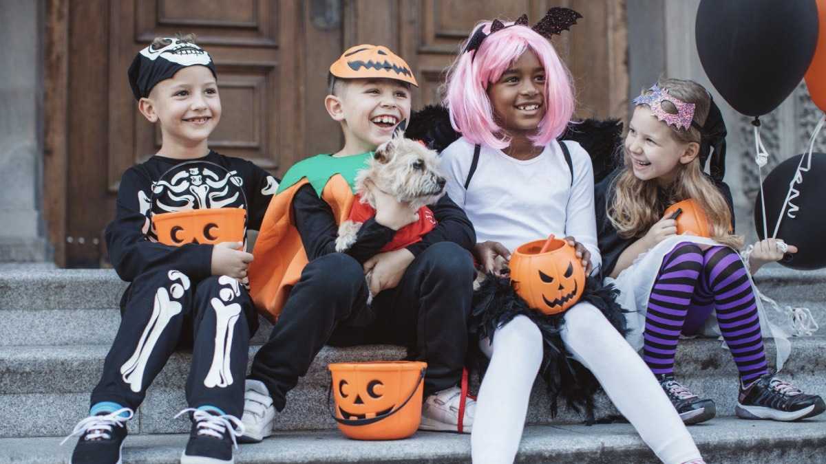 archivo infogate web-5-2-13-40