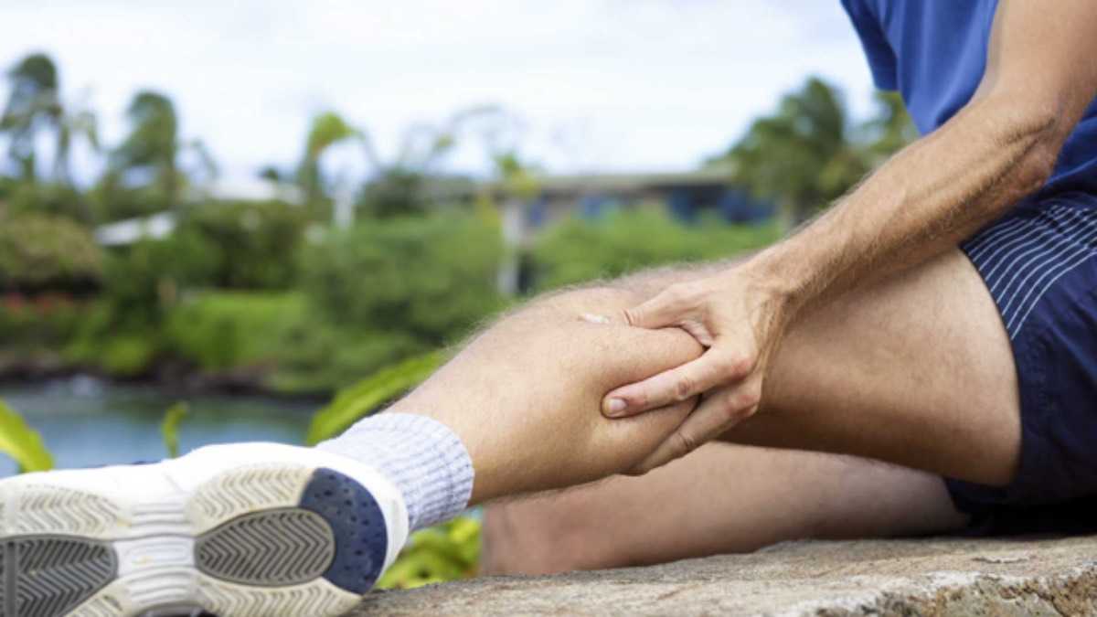 archivo infogate web-5-2-13-6