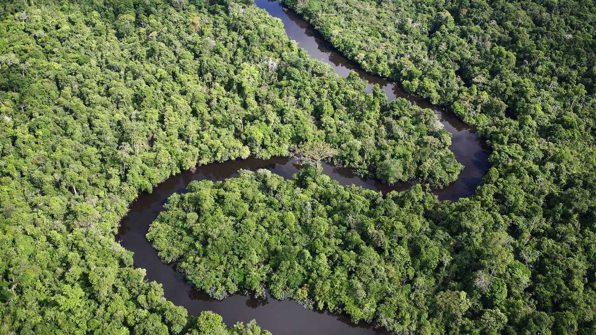 archivo infogate web-5-2-34-18