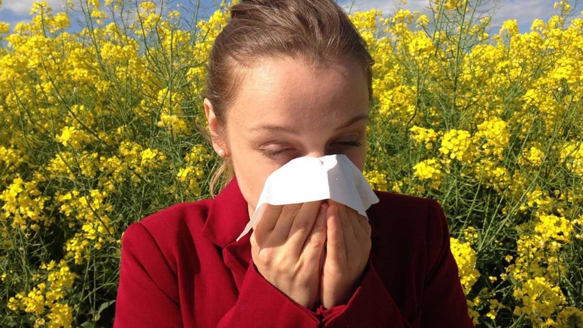 archivo infogate web-5-2-34-4