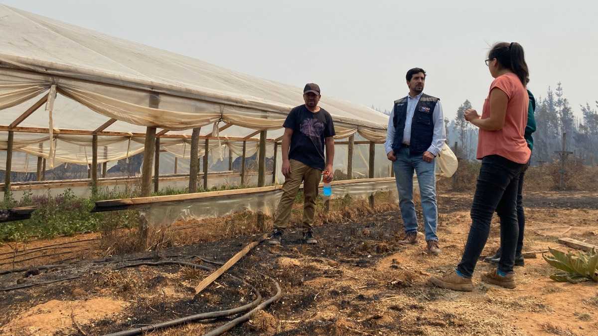 archivo infogate web-5-2-34-5