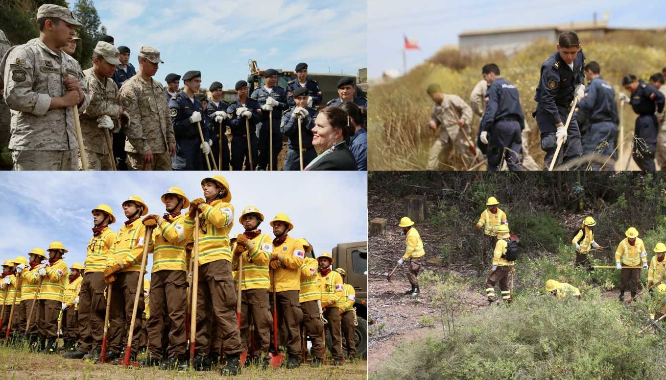 BRIGADASFORESTALESFFAA14NOV