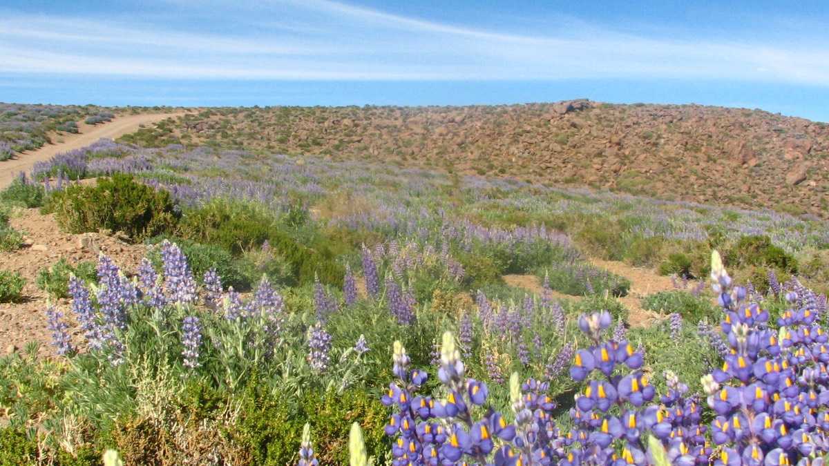 archivo infogate web-5-2-13-3