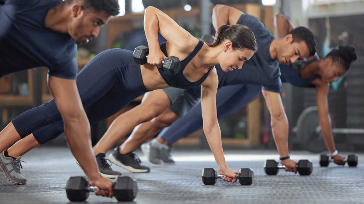 archivo infogate web-5-2-34-10