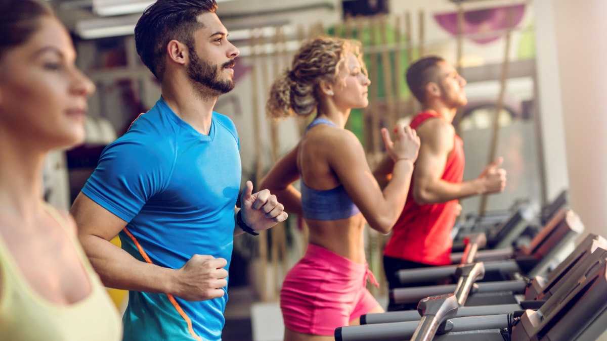 archivo infogate web-5-2-34-47