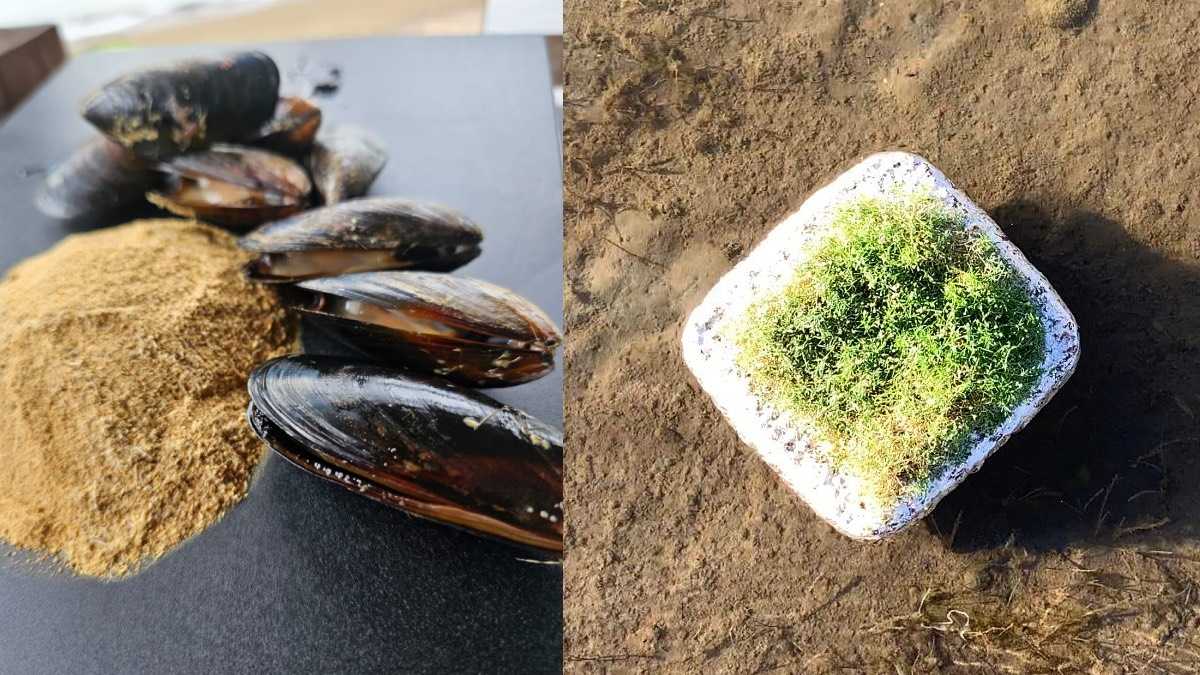 archivo infogate web-5-2-13-22