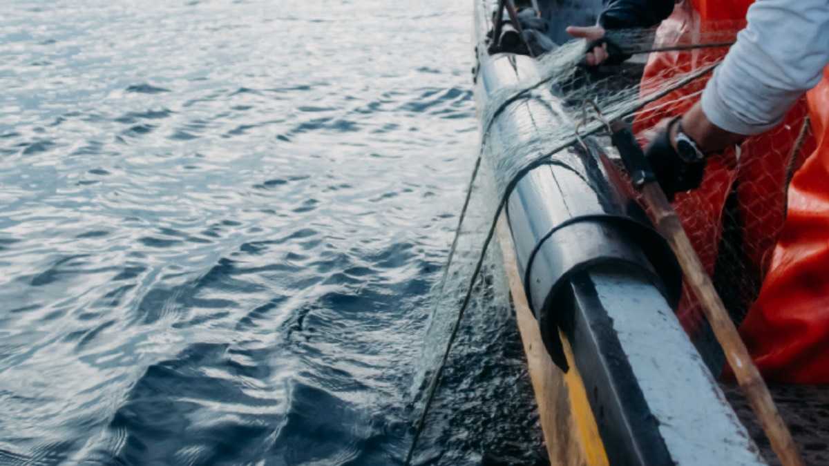 archivo infogate web-5-2-13-60