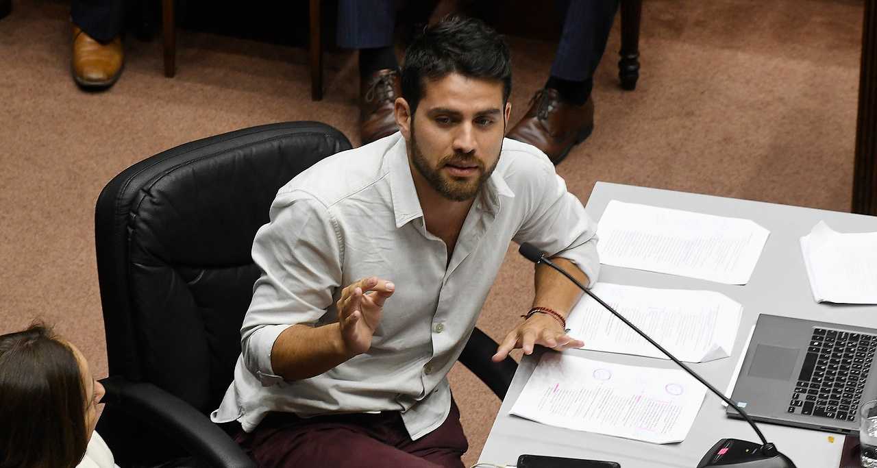 Diputado Diego Ibáñez