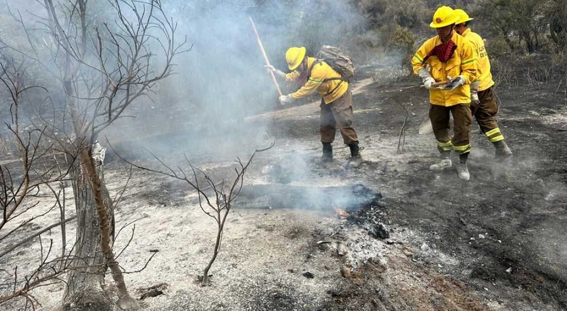 Brigadas de Refuerzos de Incendios Forestales del Ejército (BRIFE)