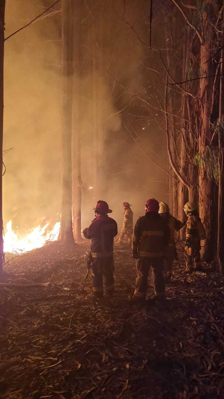 Inendio-puerto-montt-los-del-sur-noticias