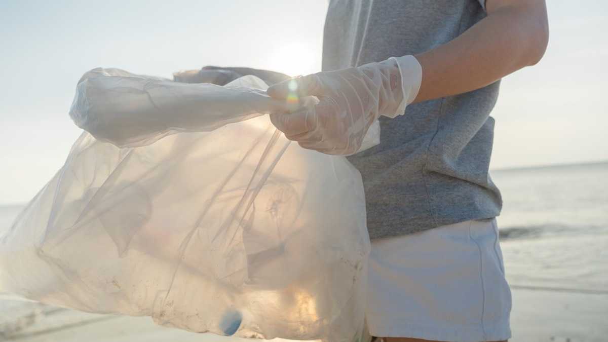 archivo infogate web-5-2-13-12