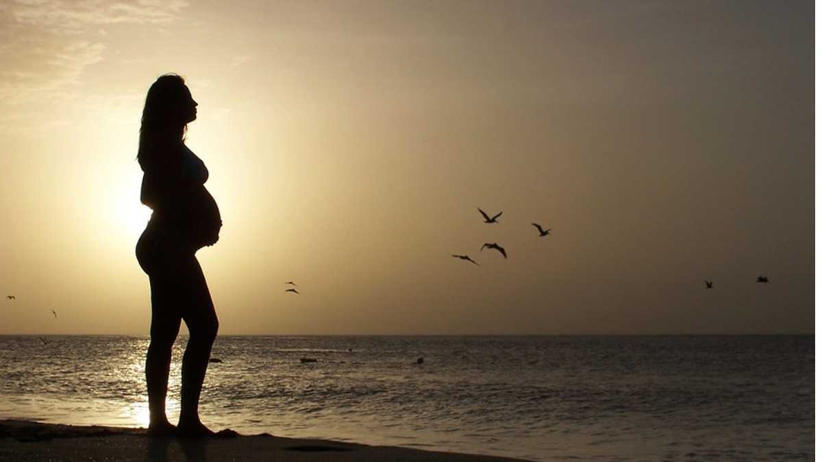 archivo infogate web-5-2-13-19