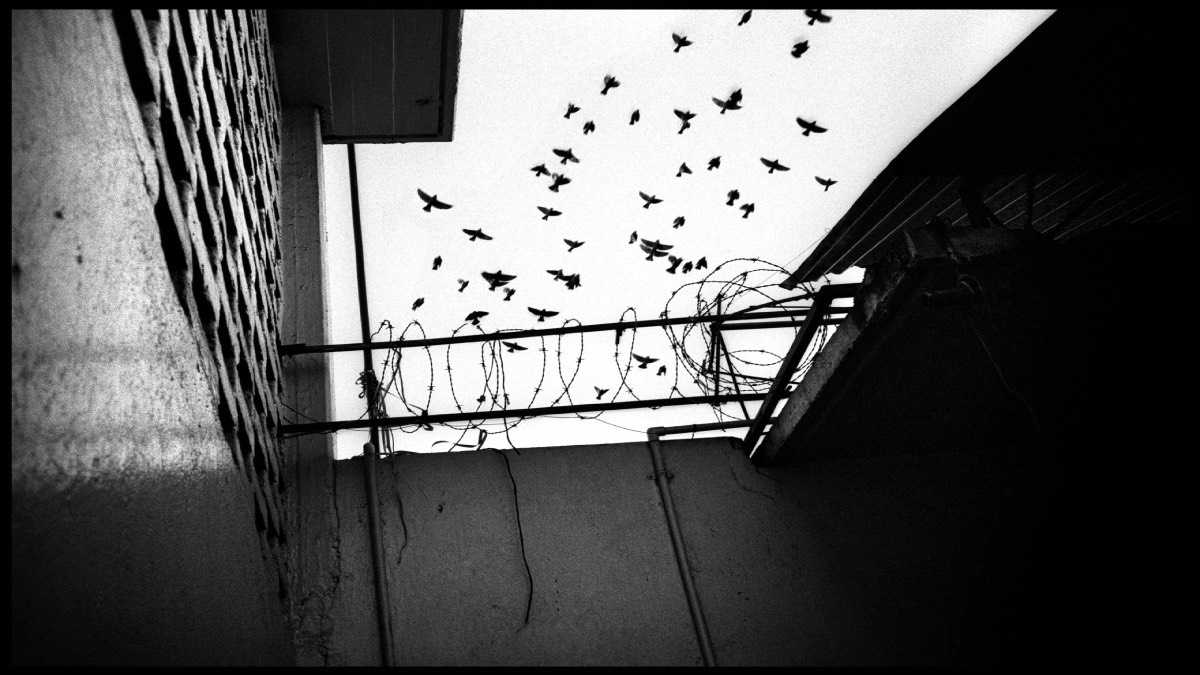 archivo infogate web-5-2-13-33