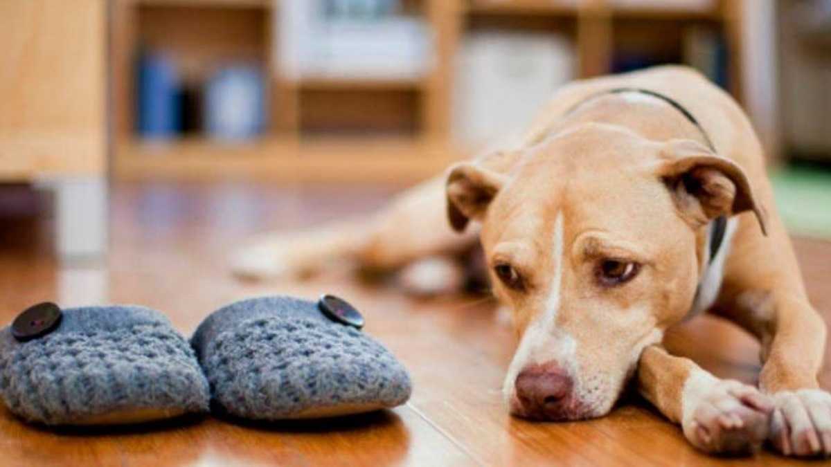 archivo infogate web-5-2-13-36