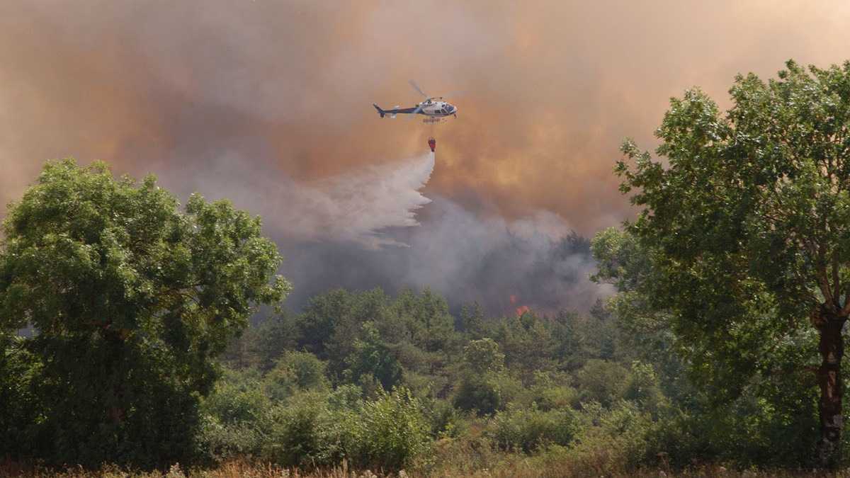 archivo infogate web-5-2-13-5