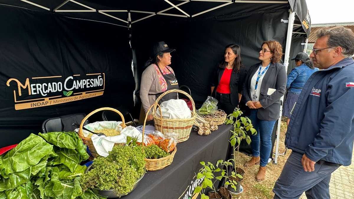 archivo infogate web-5-2-13-6