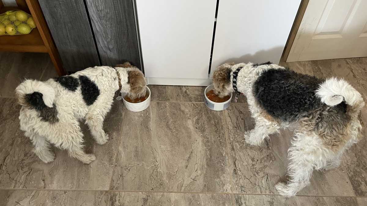 archivo infogate web-5-2-34-19