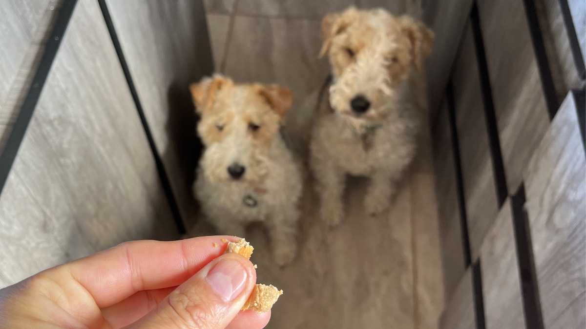 archivo infogate web-5-2-34-21