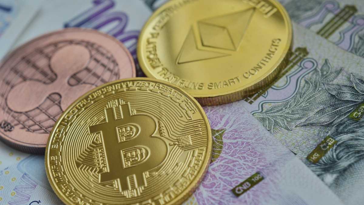 archivo infogate web-5-2-34-35