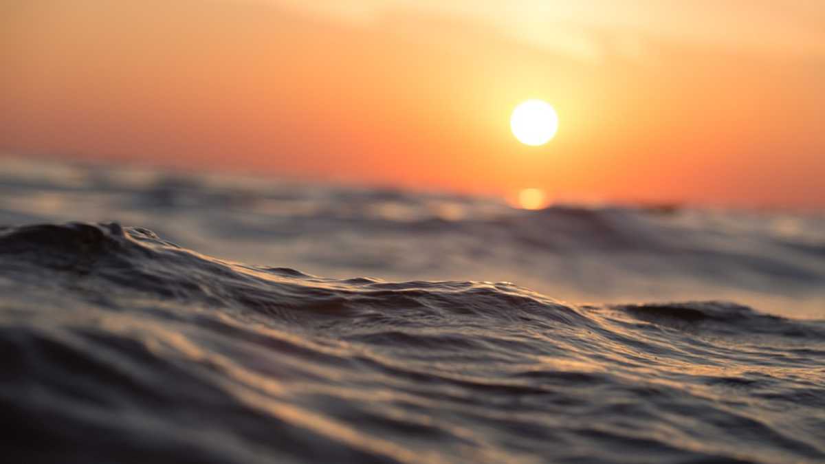 archivo infogate web-5-2-34-46