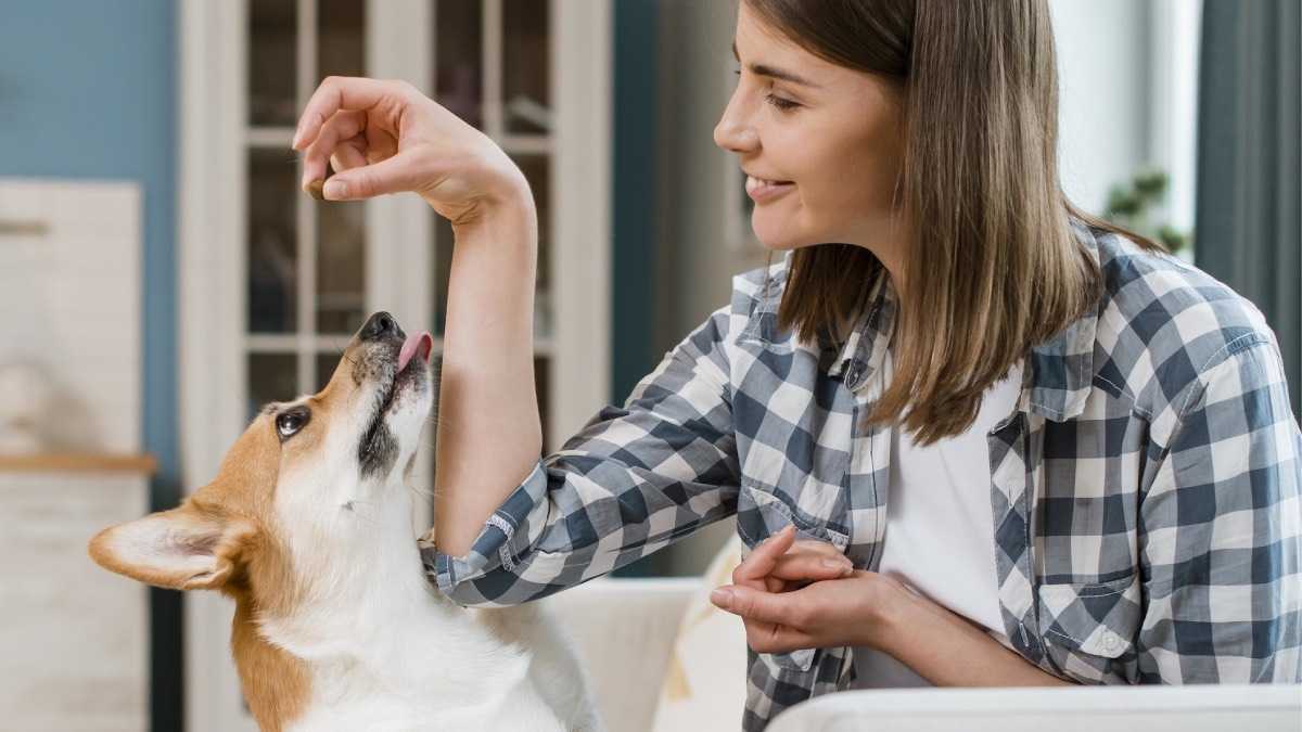 archivo infogate web-5-2-34-9