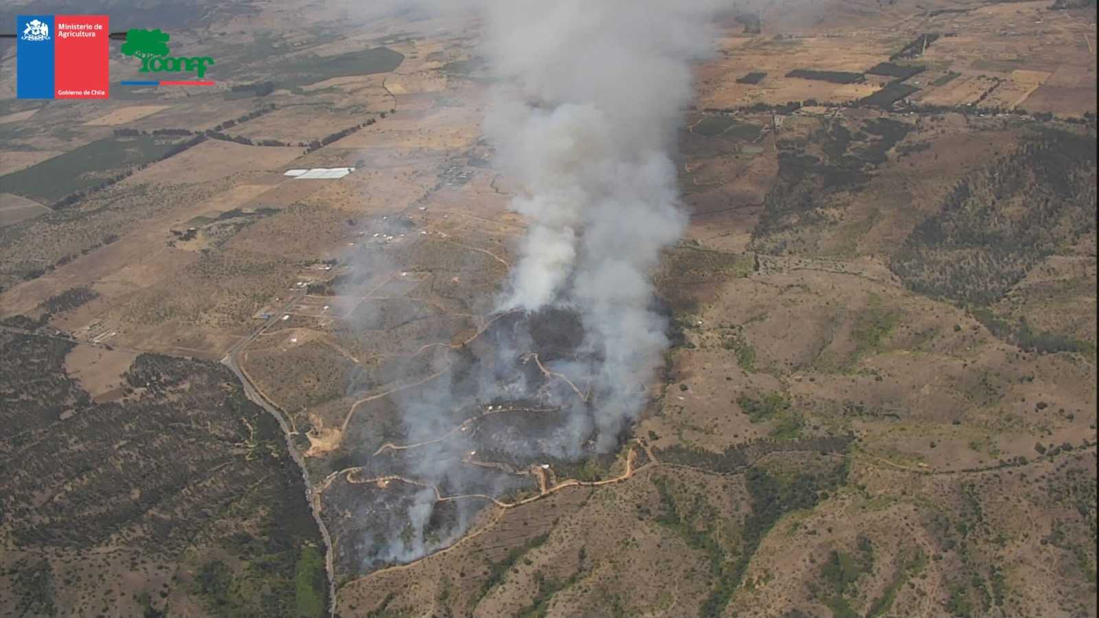 pumanque-incendio-forestal