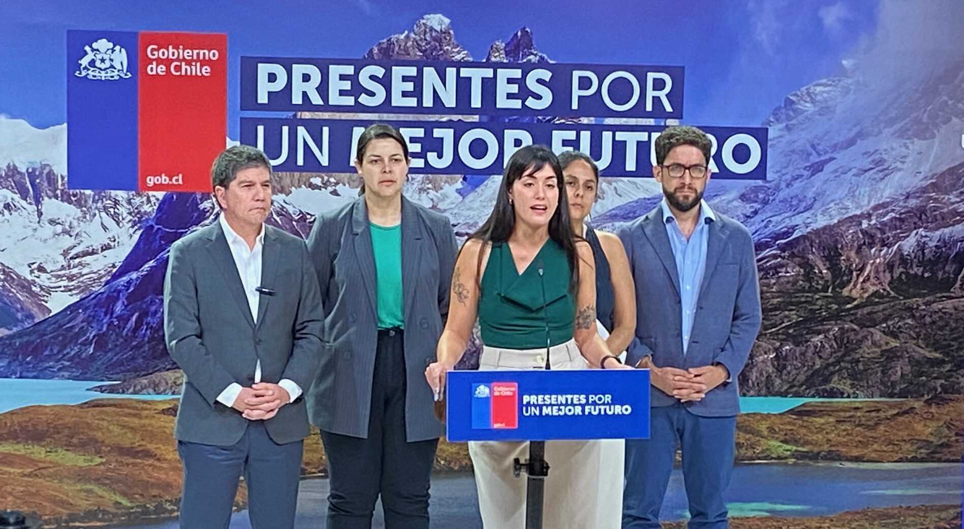 Subsecretaria general de Gobierno, Nicole Cardoch.