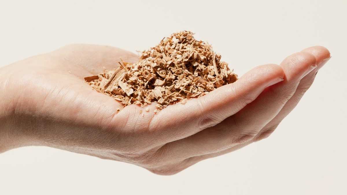 archivo infogate web-5-2-13-12