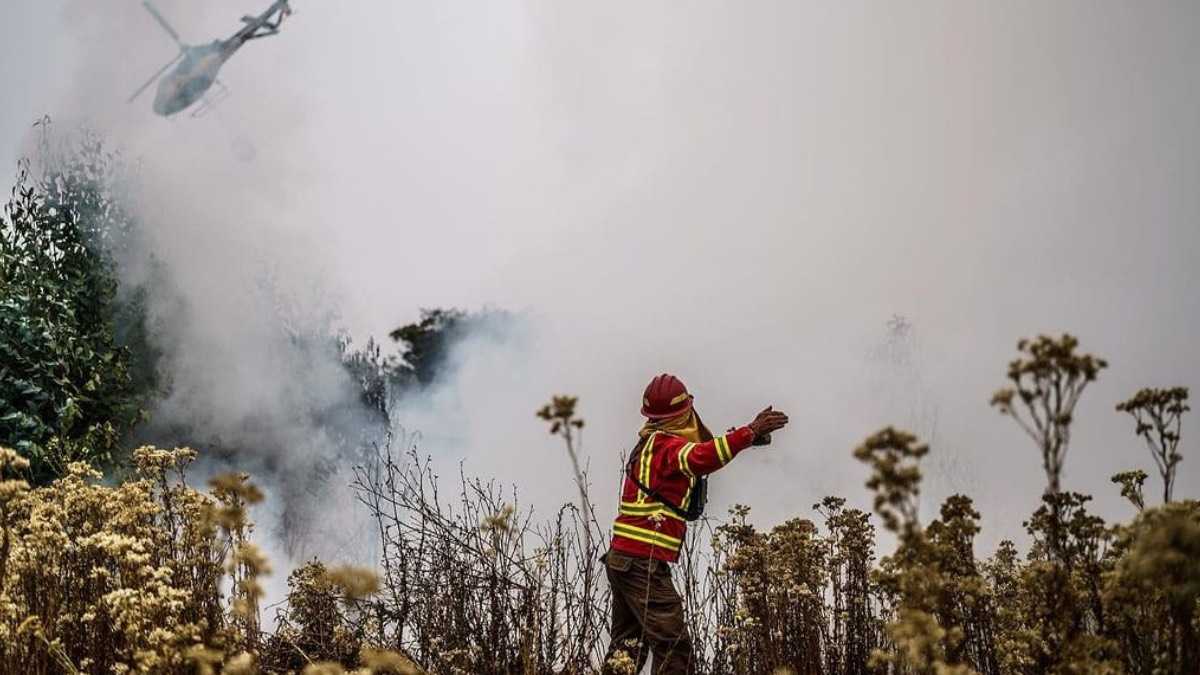 archivo infogate web-5-2-13-12