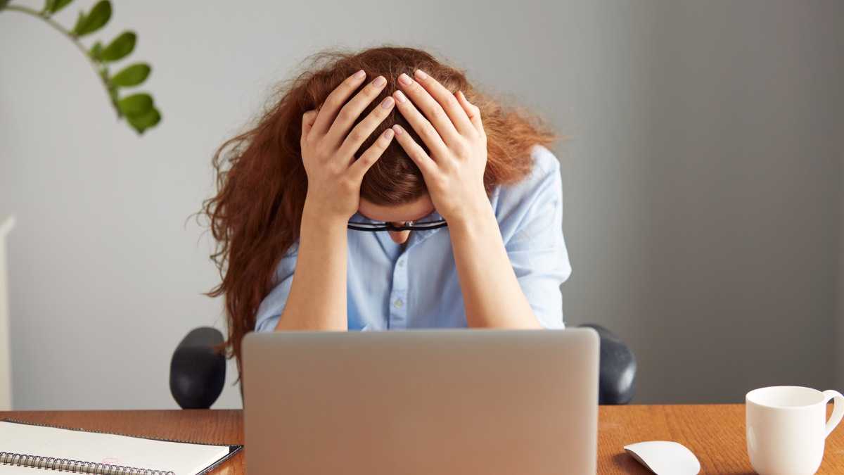 archivo infogate web-5-2-13-16